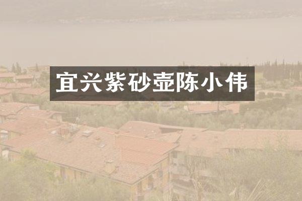 宜兴紫砂壶陈小伟