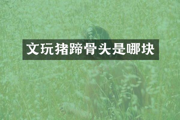 文玩猪蹄骨头是哪块