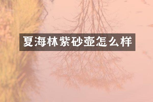 夏海林紫砂壶怎么样