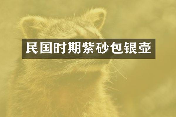 民国时期紫砂包银壶