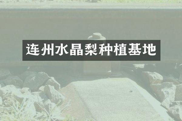 连州水晶梨种植基地