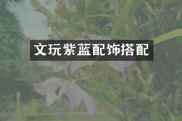 文玩紫蓝配饰搭配