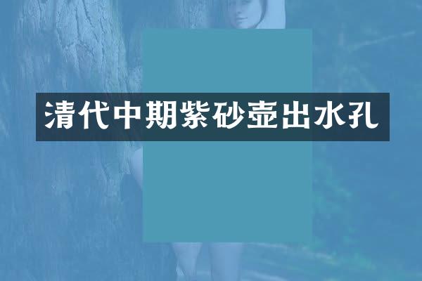 清代中期紫砂壶出水孔