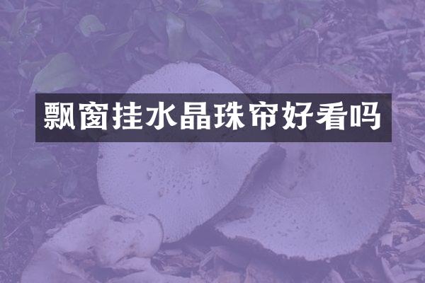 飘窗挂水晶珠帘好看吗