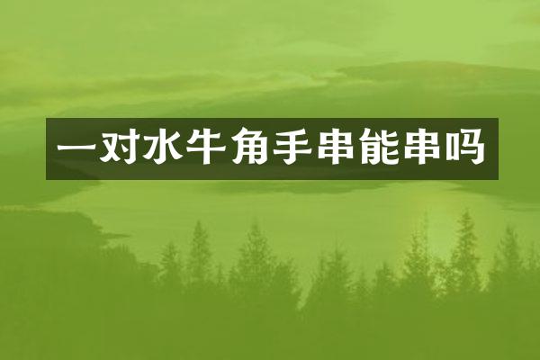 一对水牛角手串能串吗
