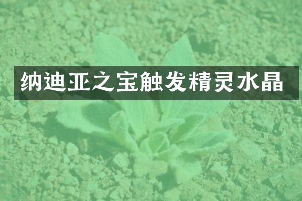 纳迪亚之宝触发精灵水晶