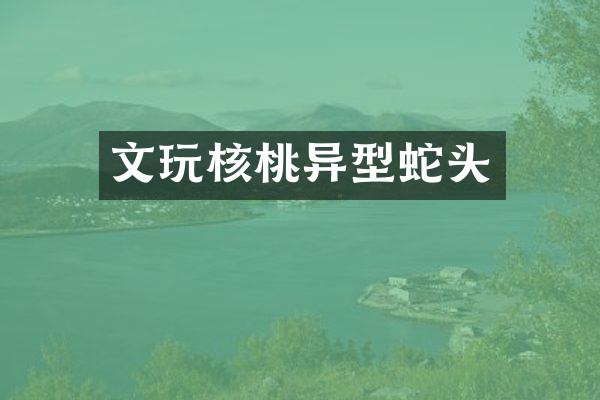 文玩核桃异型蛇头