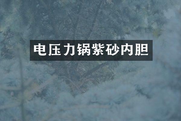 电压力锅紫砂内胆