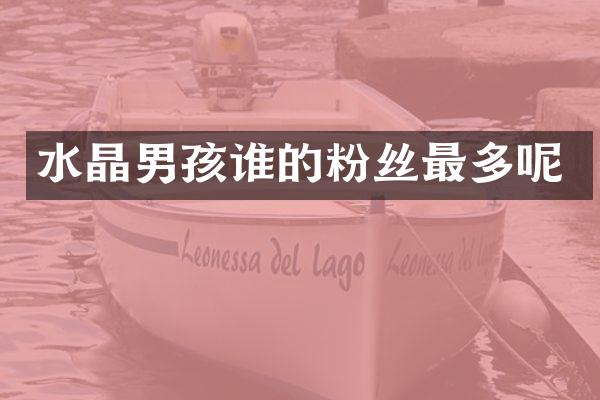 水晶男孩谁的粉丝最多呢