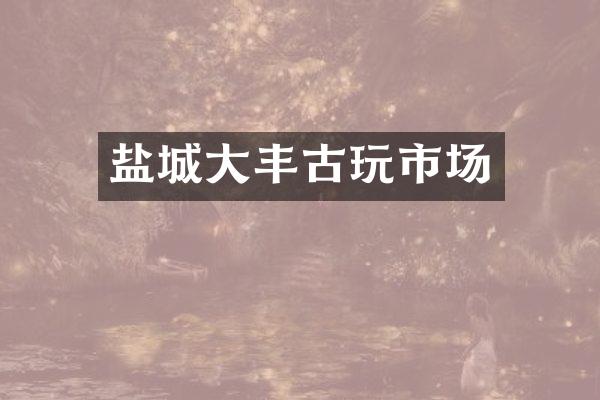 盐城大丰古玩市场