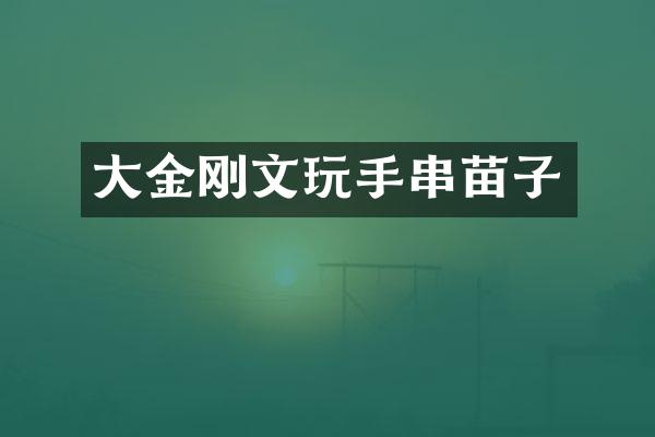 大金刚文玩手串苗子