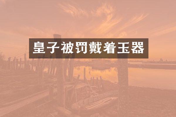 皇子被罚戴着玉器