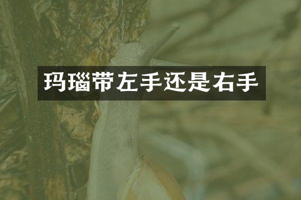 玛瑙带左手还是右手