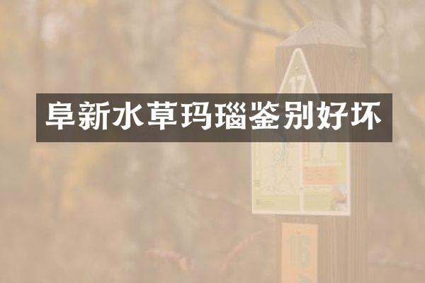 阜新水草玛瑙鉴别好坏