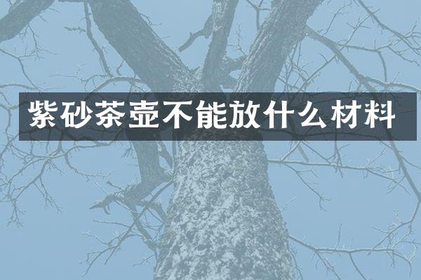 紫砂茶壶不能放什么材料