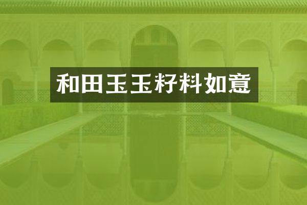 和田玉玉籽料如意