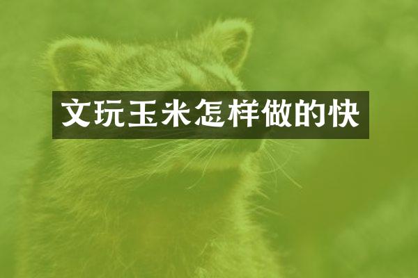 文玩玉米怎样做的快