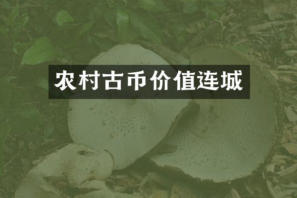 农村古币价值连城