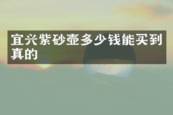 宜兴紫砂壶多少钱能买到真的