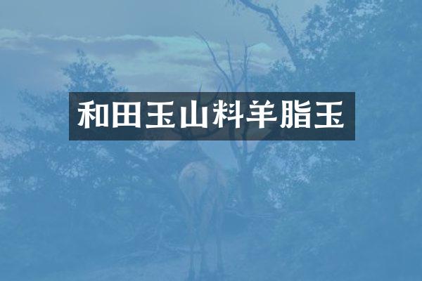 和田玉山料羊脂玉