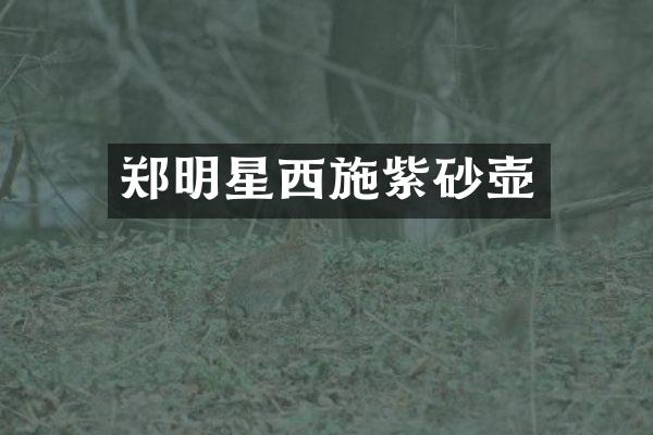 郑明星西施紫砂壶