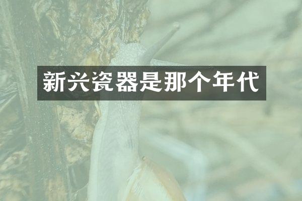 新兴瓷器是那个年代