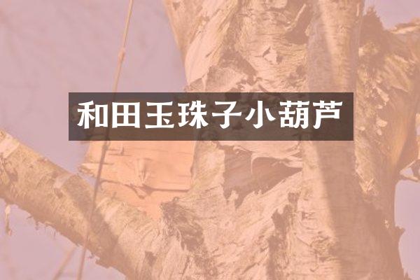 和田玉珠子小葫芦