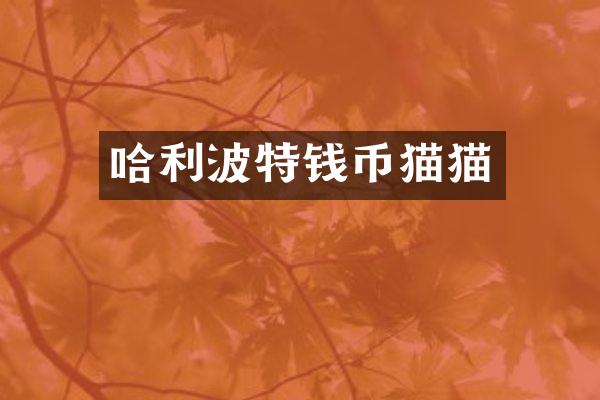 哈利波特钱币猫猫