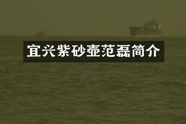 宜兴紫砂壶范磊简介