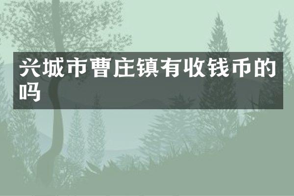 兴城市曹庄镇有收钱币的吗
