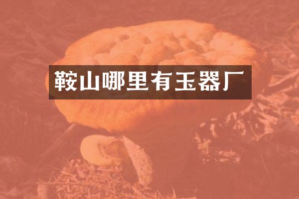 鞍山哪里有玉器厂