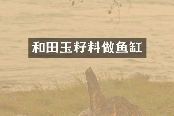 和田玉籽料做鱼缸