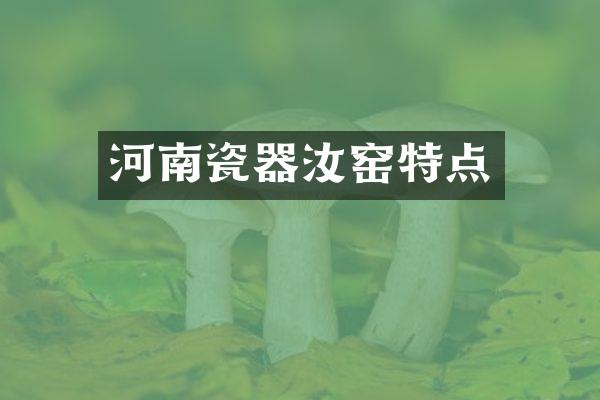 河南瓷器汝窑特点