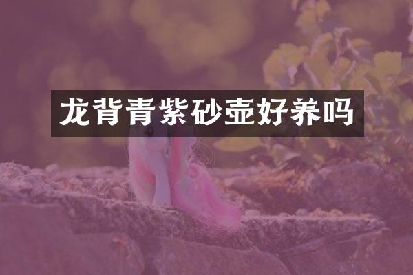 龙背青紫砂壶好养吗