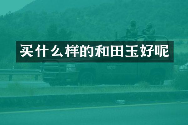 样的和田玉好呢