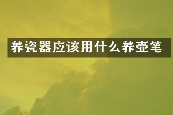 养瓷器应该用什么养壶笔
