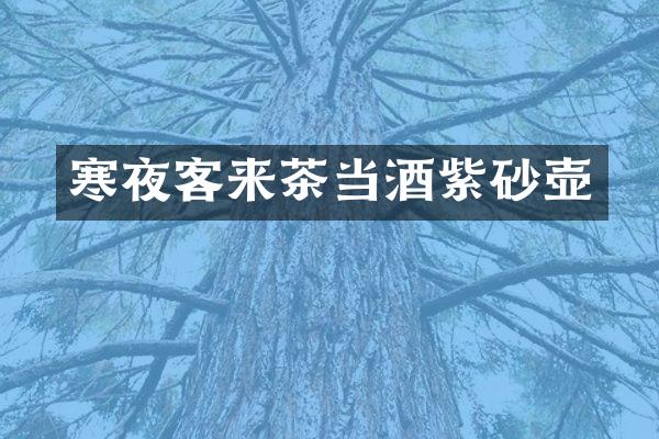 寒夜客来茶当酒紫砂壶