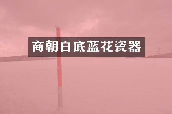 商朝白底蓝花瓷器