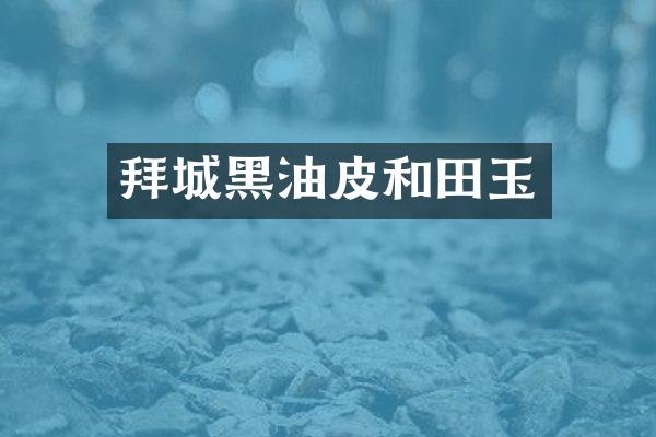 拜城黑油皮和田玉