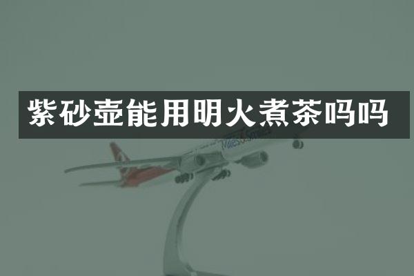 紫砂壶能用明火煮茶吗吗