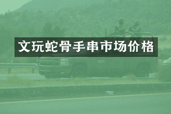 文玩蛇骨手串市场价格