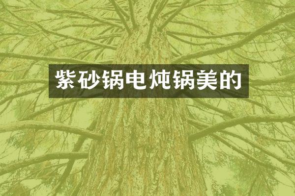 紫砂锅电炖锅美的