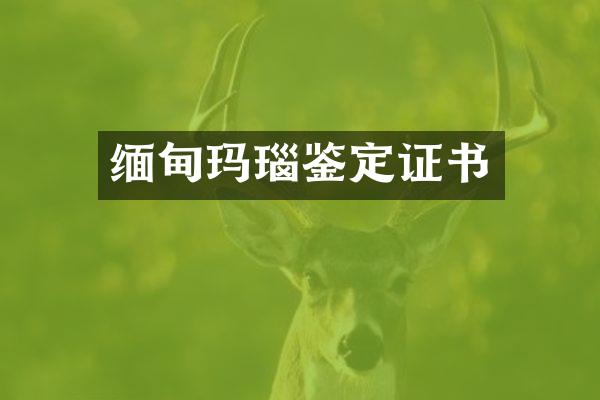 缅甸玛瑙鉴定证书