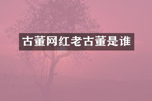 古董网红老古董是谁