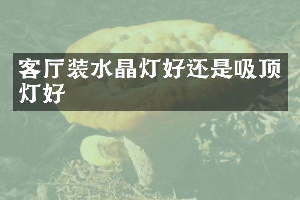 客厅装水晶灯好还是吸顶灯好