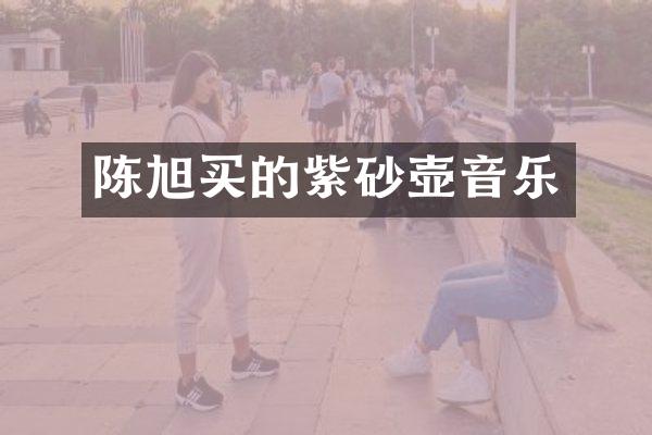 陈旭买的紫砂壶音乐