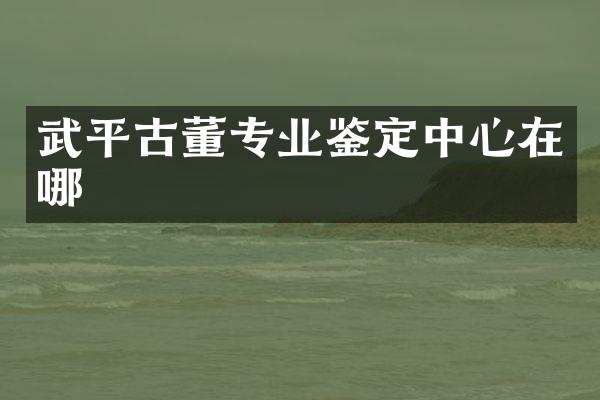 武平古董专业鉴定中心在哪