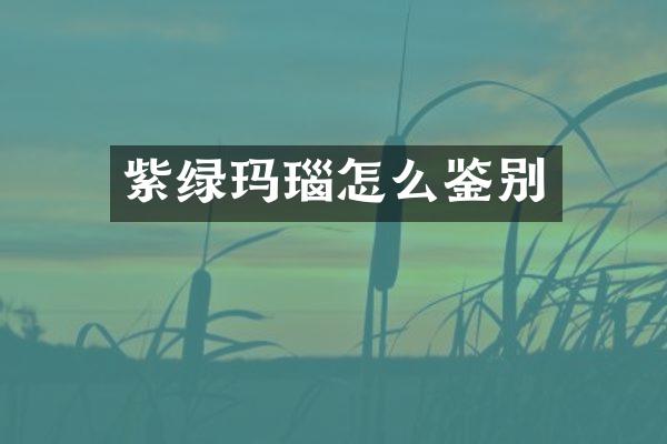 紫绿玛瑙怎么鉴别