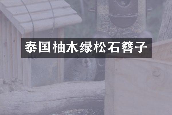 泰国柚木绿松石簪子