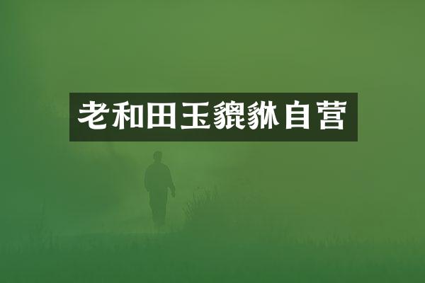 老和田玉貔貅自营